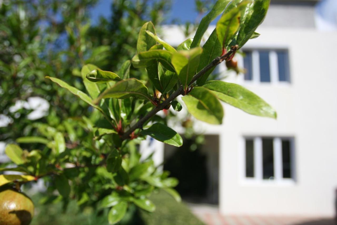 Apartman Mare Makarska Luaran gambar